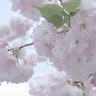 兽设线稿临摹素材兽圈社群